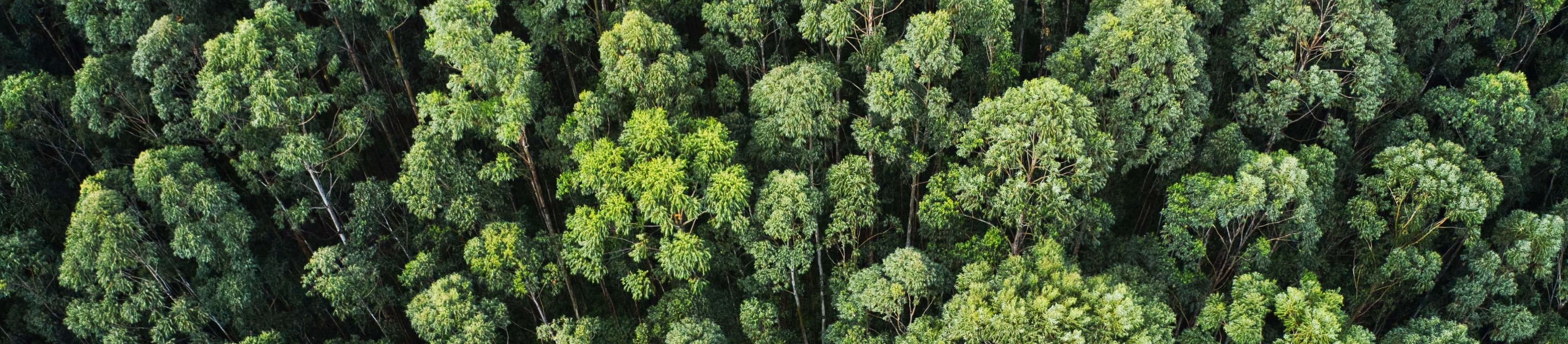 Packaging for a sustainable future