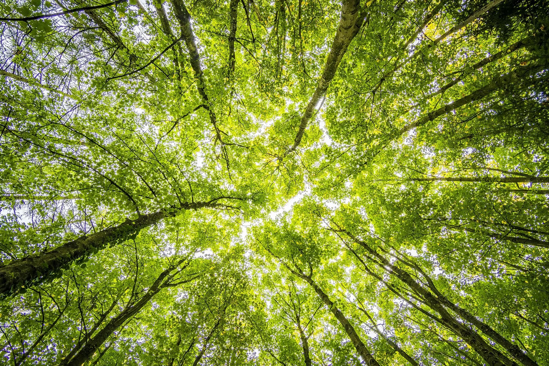 Moving forward with sustainable packaging
