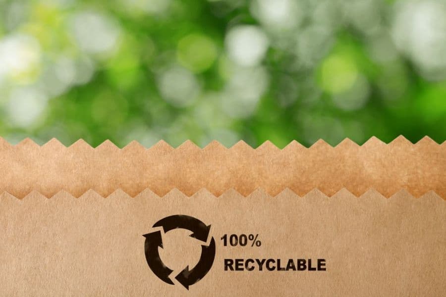 100 percent recyclable paper packaging