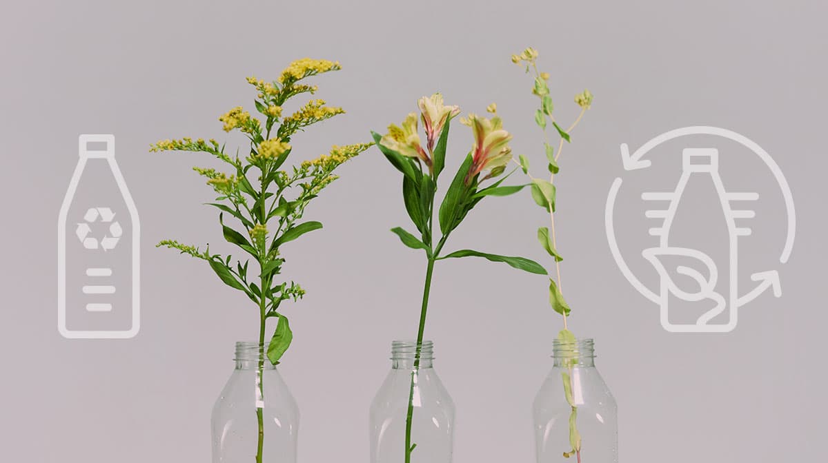 plastic bottles with flowers represent recycling and sustainability
image source: pexels-ron-lach-9770455
