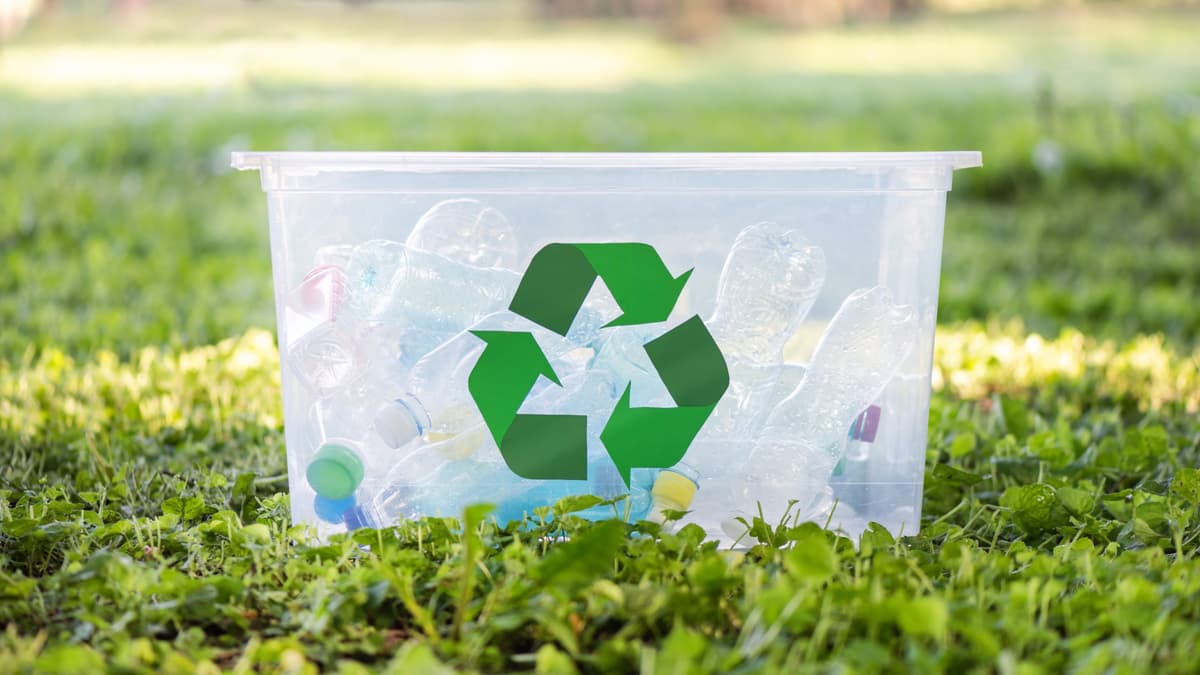 Plastic recycling bin with plastic bottles to be recycled