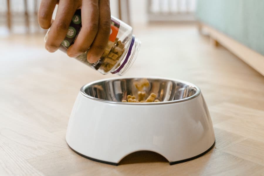 dog treats being poured into dog bowl