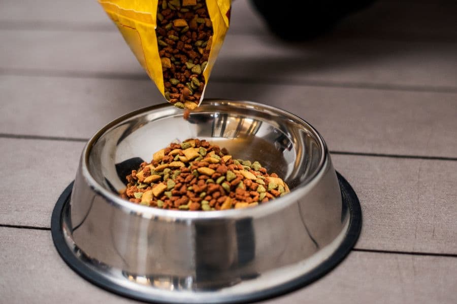 pet food being poured into dog bowl