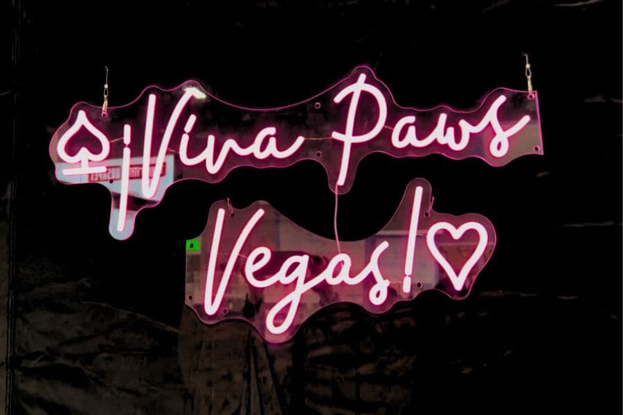 Viva Paws Vegas Neon Sign at Superzoo